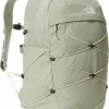 Acheter 🤩 SAC A DOS Loisirs Femme THE NORTH FACE BOREALIS TEA 🔔 Acheter 16